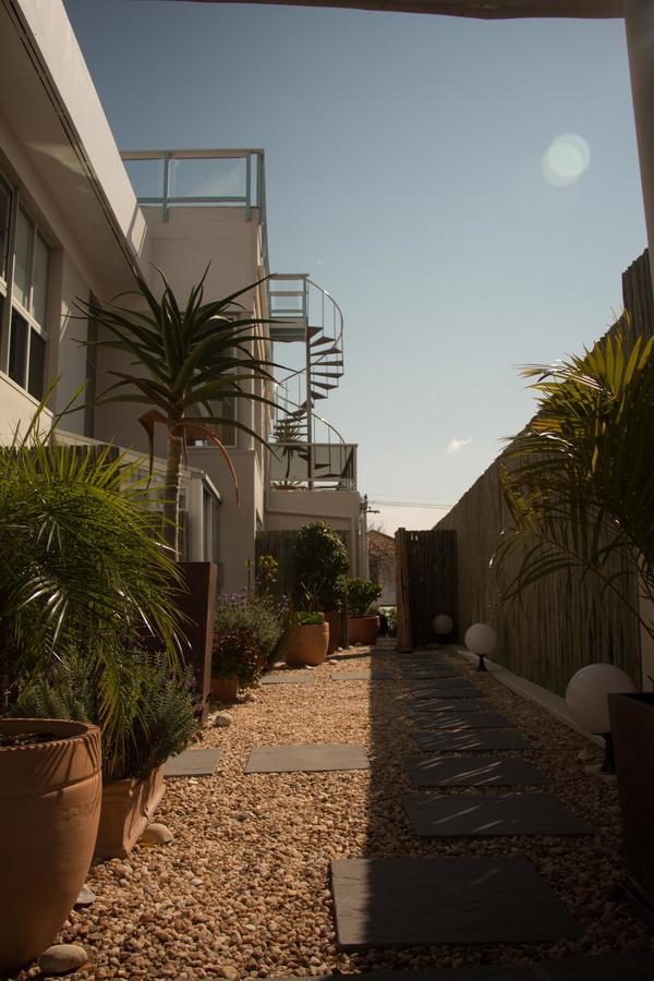 Southern Comfort Guest House Cape Town Dış mekan fotoğraf